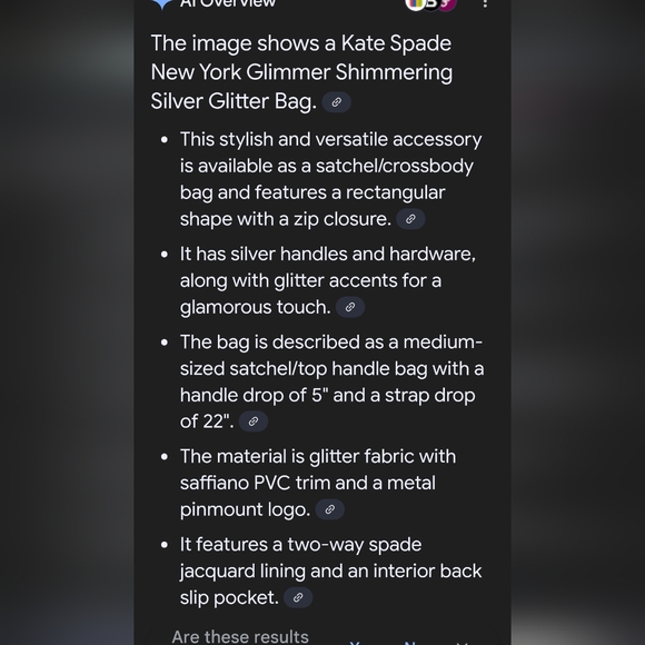 Kate Spade Glitter Bag - Picture 10 of 12